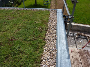 green-roof-landscaping